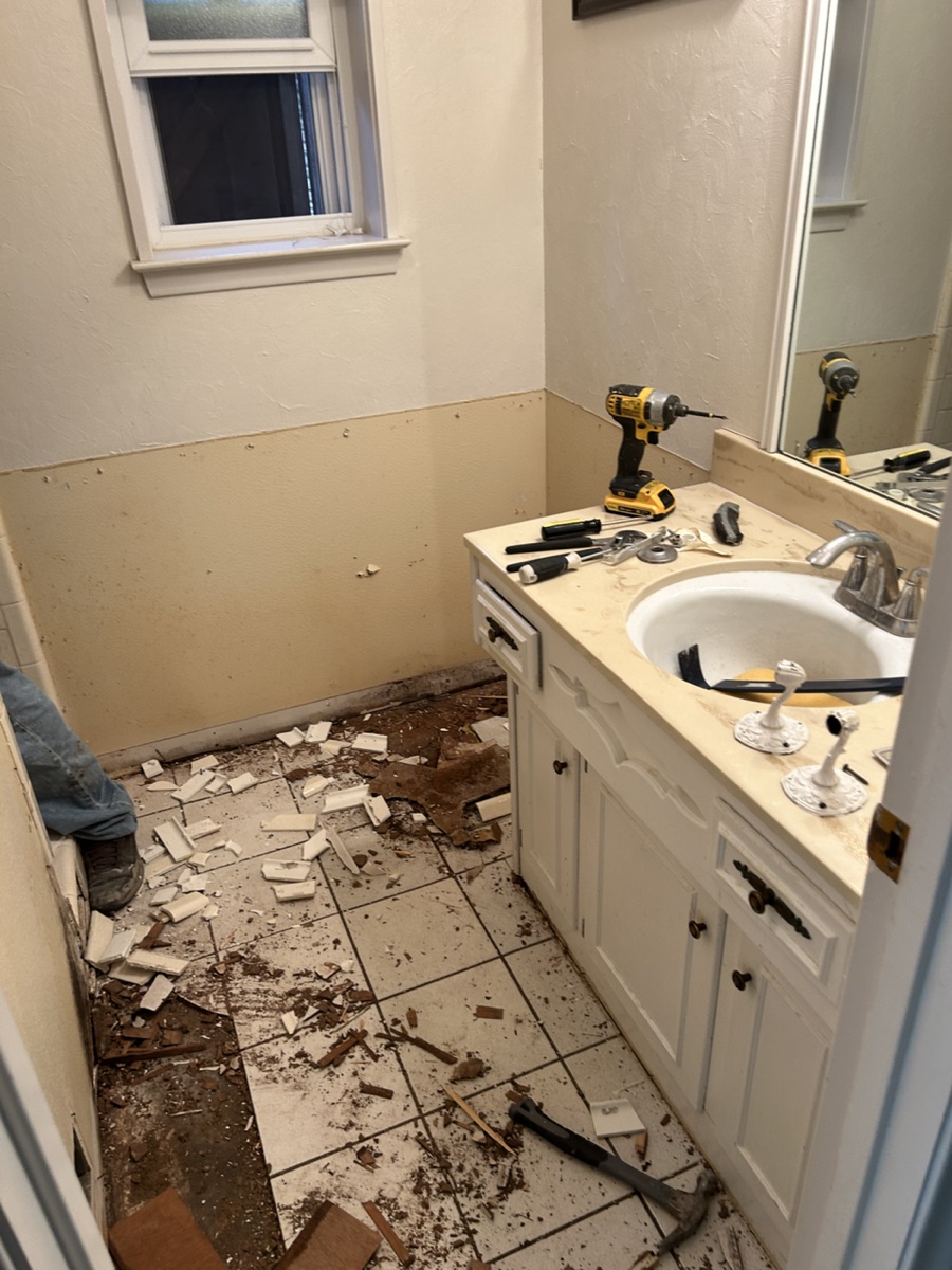 Hall bathroom during demolition